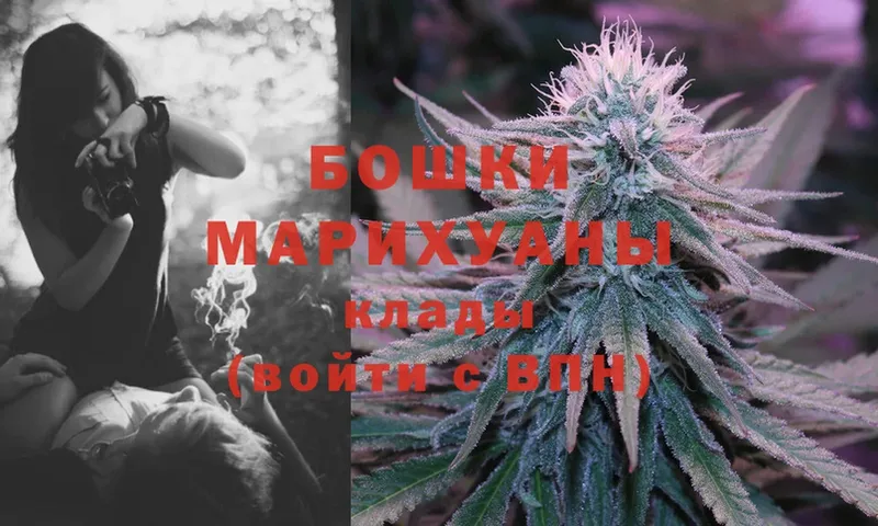 Конопля SATIVA & INDICA  где купить   Весьегонск 